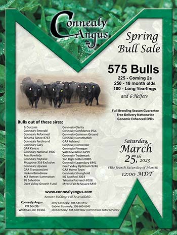 Spring Bull Sale Ad