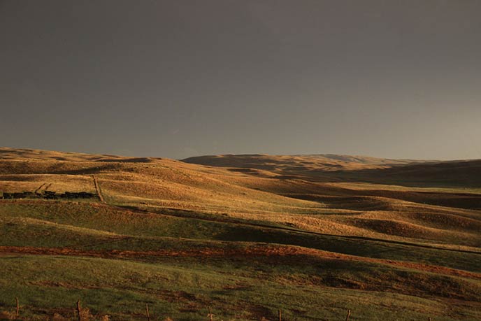 After the rain on a beautiful May evening