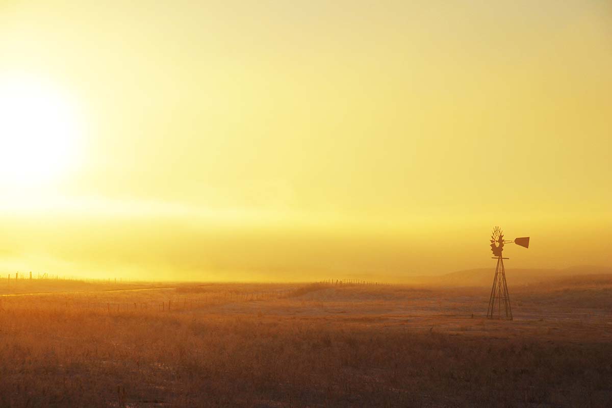 Morning fog in January