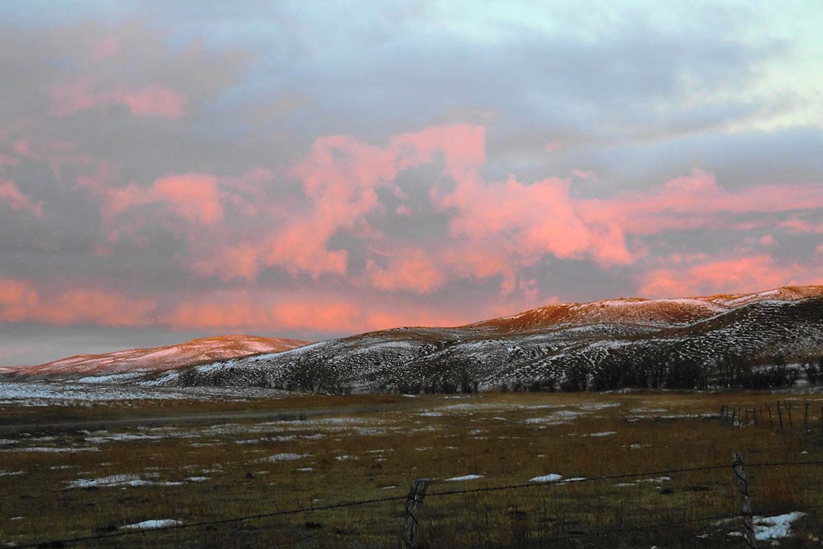 Pink Light in a January Sky