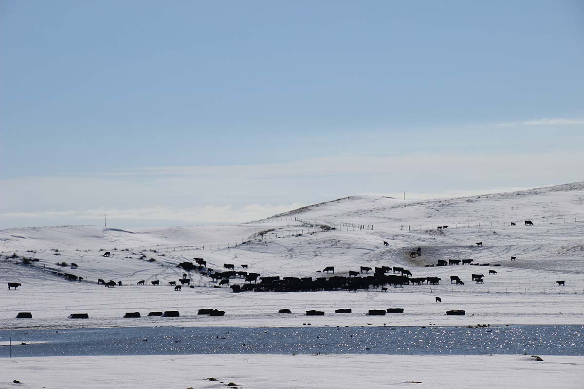 Snow across the valley in May