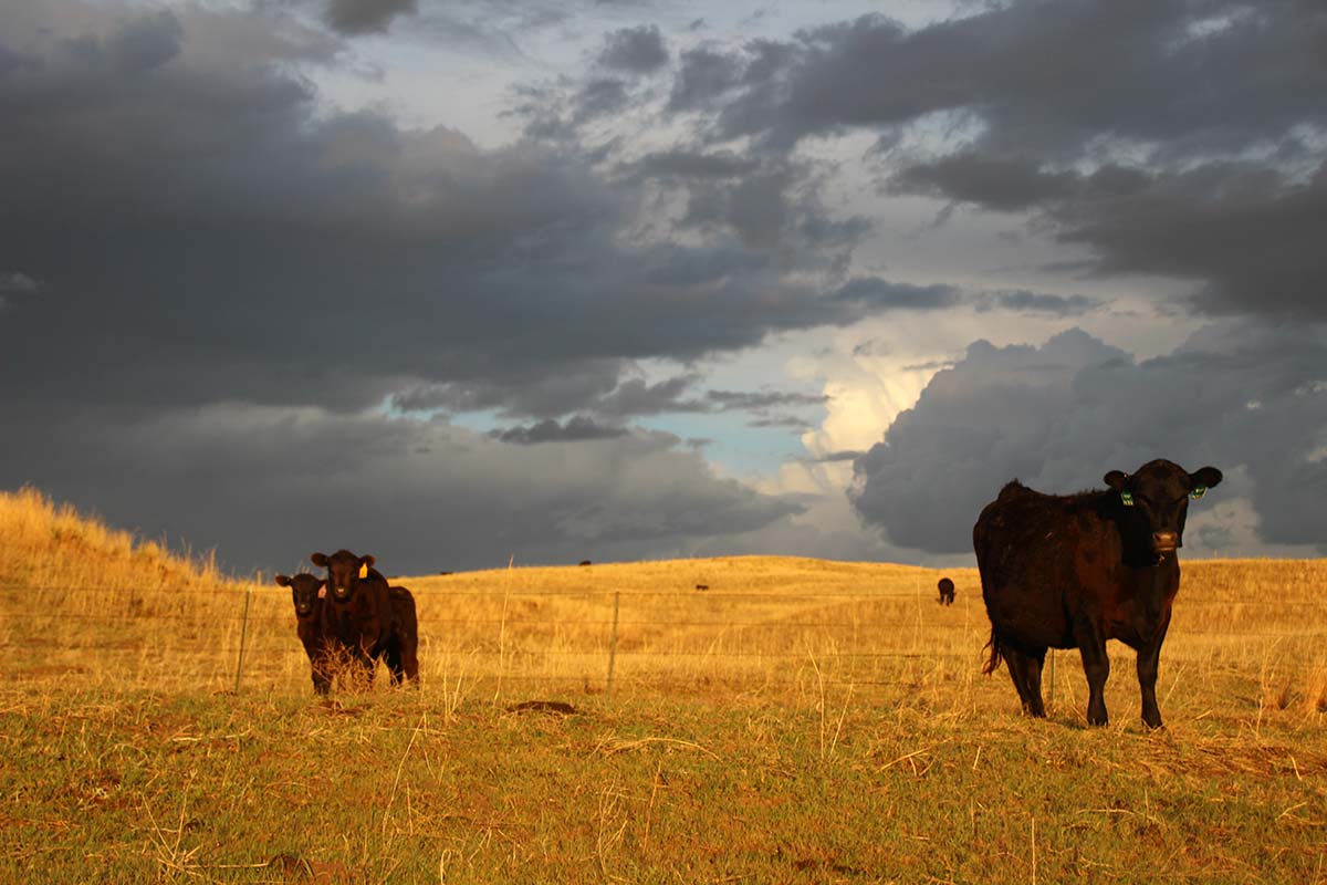 Early morning in May