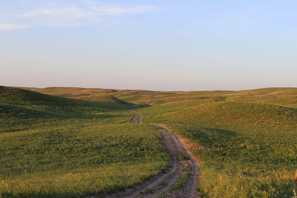 A quiet road down to summer range in June