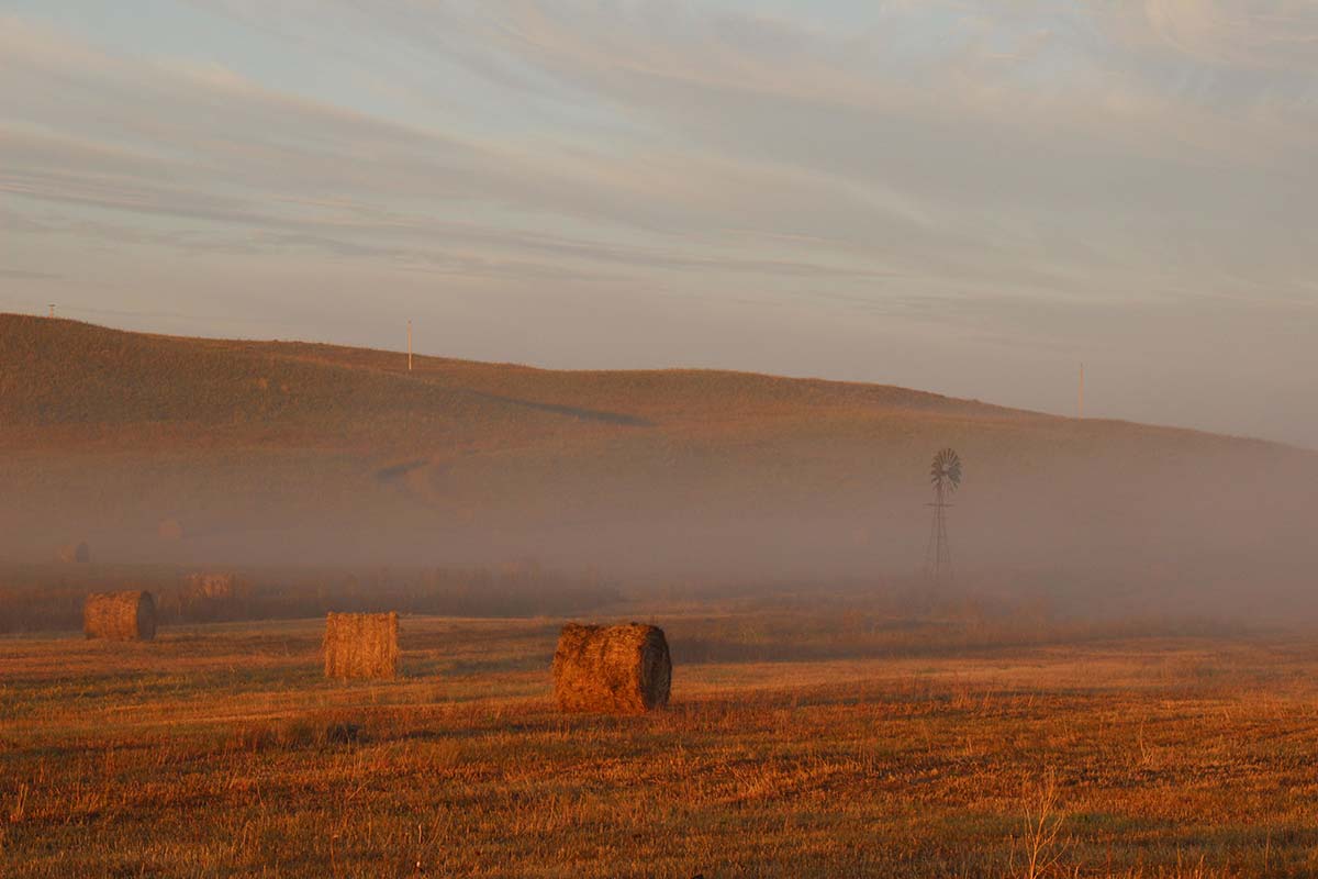 A September sunrise on a feed ground