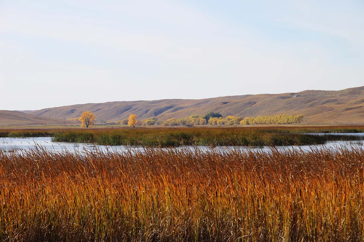 Whitman lake in October