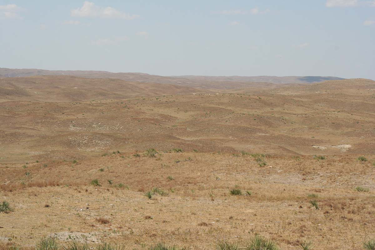 2012 Drought - picture taken in July