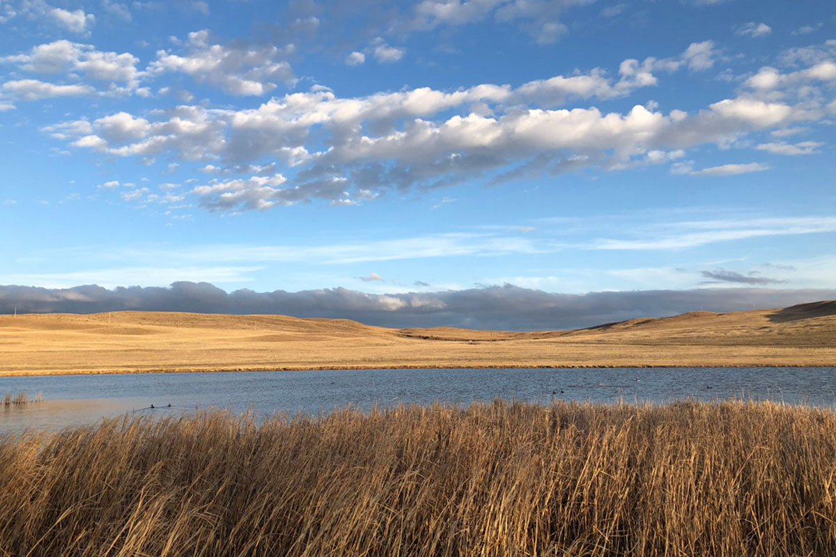 A March vista across the water