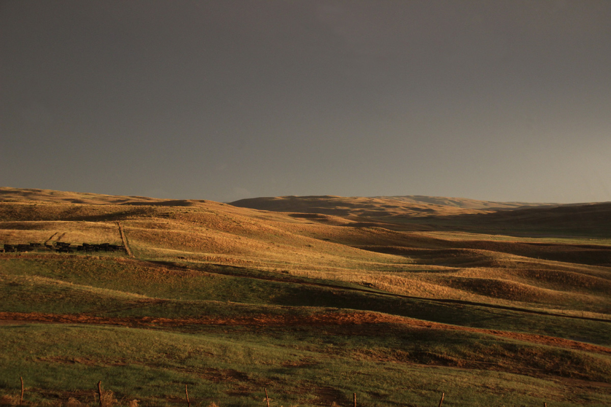 After the rain on a beautiful May evening