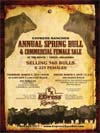 Annual Spring Bull & Commercial Female Sale