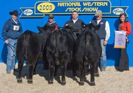 2009 Reserve Early Calf Division Champion of Three—National Western Stock Show