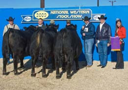 2009 Champion Division Pen of Three Yearlings—National Western Stock Show