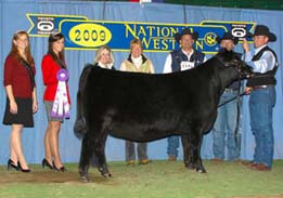 Winter Heifer Calf Champion EXAR Rita 81005  