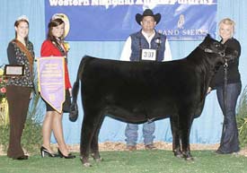 Reserve Spring Heifer Calf Champion