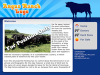 Designs &copy; 2007 API Web Services