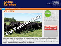 Designs &copy; 2007 API Web Services