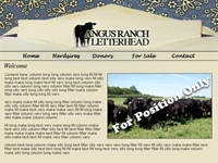 Designs &copy; 2007 API Web Services