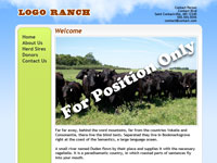 Designs &copy; 2007 API Web Services