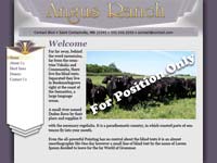 Designs &copy; 2007 API Web Services