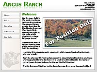 Designs &copy; 2007 API Web Services