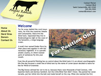 Designs &copy; 2007 API Web Services