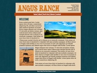 Designs &copy; 2007 API Web Services