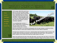 Designs &copy; 2007 API Web Services