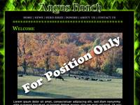 Designs &copy; 2007 API Web Services