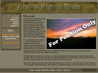 Designs &copy; 2007 API Web Services