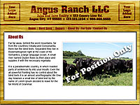 Designs &copy; 2007 API Web Services