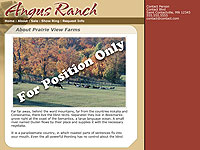 Designs &copy; 2007 API Web Services