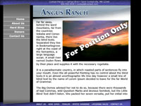 Designs &copy; 2007 API Web Services
