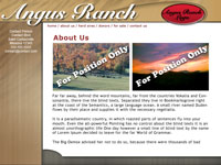 Designs &copy; 2007 API Web Services