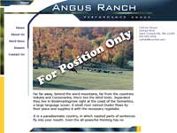 Designs &copy; 2007 API Web Services