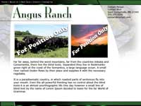 Designs &copy; 2007 API Web Services
