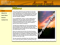 Designs &copy; 2007 API Web Services