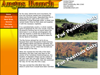 Designs &copy; 2007 API Web Services