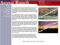 Designs &copy; 2007 API Web Services