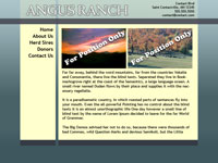 Designs &copy; 2007 API Web Services