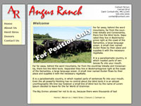 Designs &copy; 2007 API Web Services