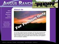 Designs &copy; 2007 API Web Services