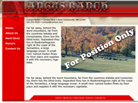 Designs &copy; 2007 API Web Services