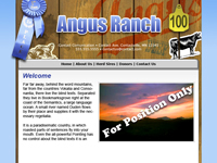 Designs &copy; 2007 API Web Services