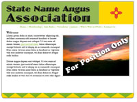 Designs &copy; 2007 API Web Services