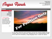 Designs &copy; 2007 API Web Services