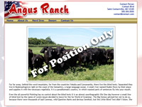 Designs &copy; 2007 API Web Services