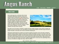 Designs &copy; 2007 API Web Services