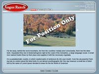 Designs &copy; 2007 API Web Services