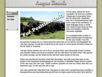 Designs &copy; 2007 API Web Services
