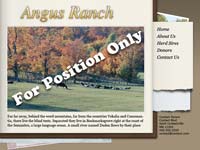 Designs &copy; 2007 API Web Services