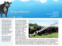 Designs &copy; 2007 API Web Services